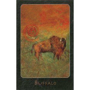 A Shaman Oracle - Ảnh 10