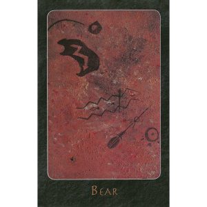 A Shaman Oracle - Ảnh 4