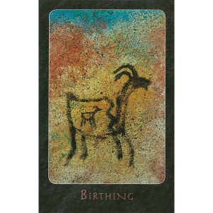 A Shaman Oracle - Ảnh 6