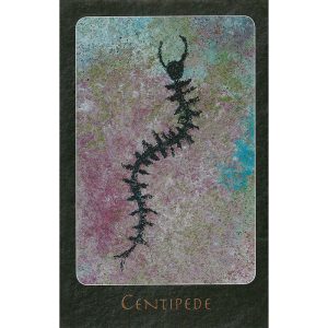 A Shaman Oracle - Ảnh 8