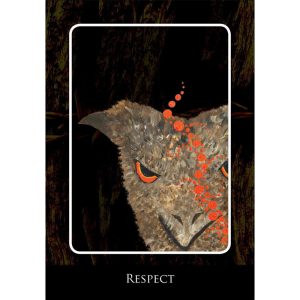 Aboriginal Dreamtime Oracle - Ảnh 3