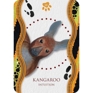 Aboriginal Healing Oracle - Ảnh 4