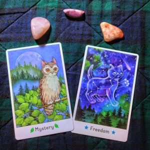 Affirmations of the Fairy Cats Deck - Ảnh 12