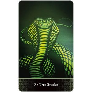 Afro Goddess Lenormand Oracle - Ảnh 5