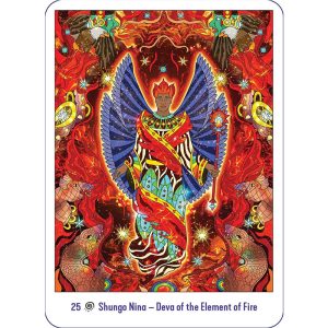 Amazonian Angel Oracle - Ảnh 9