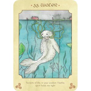 Anamchara Oracle - Ảnh 6