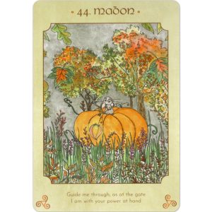 Anamchara Oracle - Ảnh 8