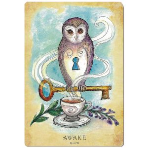 Anatomy of a Witch Oracle - Ảnh 4
