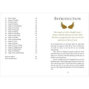 Angel Oracle - Ảnh 8