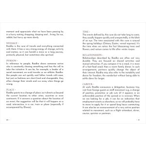 Animal Guide Rune Cards - Ảnh 10