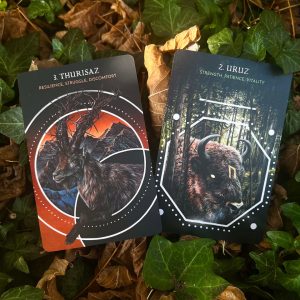 Animal Guide Rune Cards - Ảnh 12