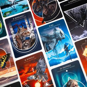 Animal Guide Rune Cards - Ảnh 13
