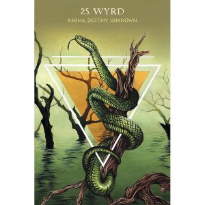 Animal Guide Rune Cards - Ảnh 4