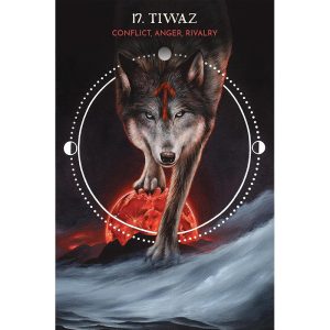 Animal Guide Rune Cards - Ảnh 5