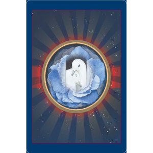 Animal Love Oracle Cards - Ảnh 10