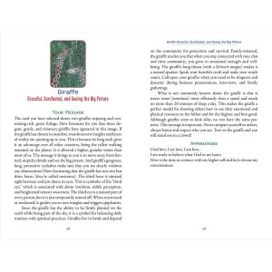 Animal Love Oracle Cards - Ảnh 12