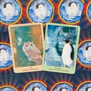 Animal Love Oracle Cards - Ảnh 14