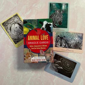 Animal Love Oracle Cards - Ảnh 15