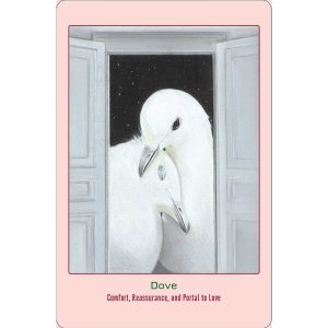 Animal Love Oracle Cards - Ảnh 4