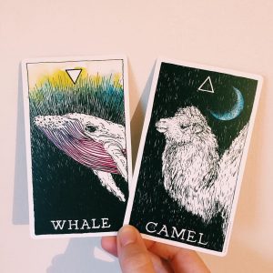 Wild Unknown Animal Spirit Deck - Ảnh 3