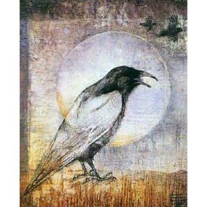 Animal Spirits Knowledge Cards - Ảnh 4