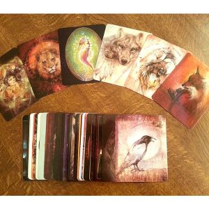 Animal Spirits Knowledge Cards - Ảnh 5