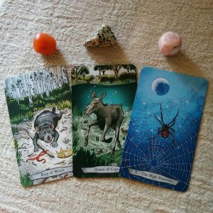 Animal Totem Tarot - Ảnh 3