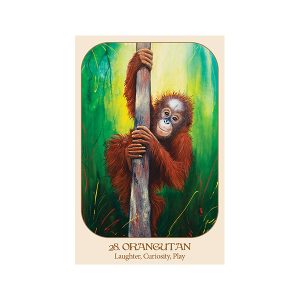 Animal Voices Oracle: Connecting with Our Endangered Friends Cards - Ảnh 5
