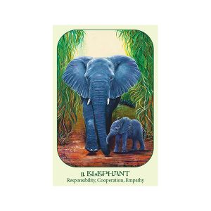 Animal Voices Oracle: Connecting with Our Endangered Friends Cards - Ảnh 3