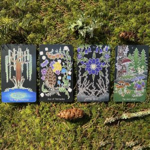 Animystic Tarot - Ảnh 12