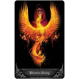 Anne Stokes Gothic Oracle - Ảnh 9