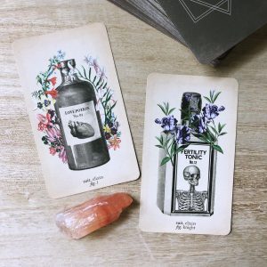 Antique Anatomy Tarot - Ảnh 11