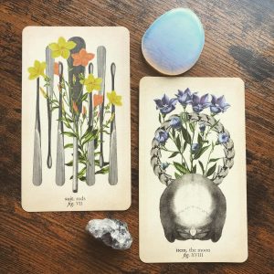 Antique Anatomy Tarot - Ảnh 7
