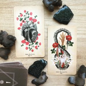 Antique Anatomy Tarot - Ảnh 12
