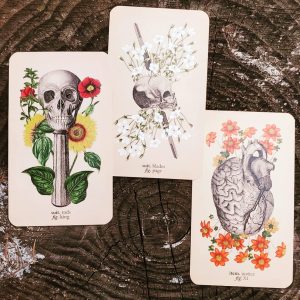 Antique Anatomy Tarot - Ảnh 14