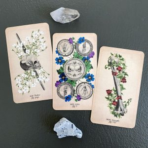Antique Anatomy Tarot - Ảnh 15