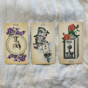Antique Anatomy Tarot - Ảnh 13