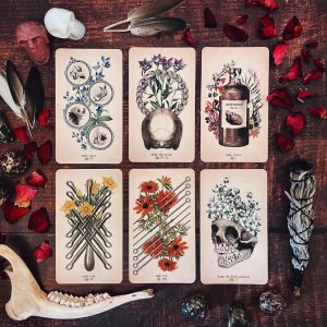 Antique Anatomy Tarot - Ảnh 17