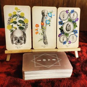 Antique Anatomy Tarot - Ảnh 18