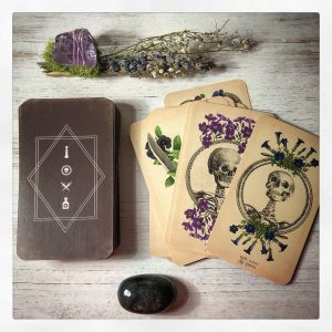 Antique Anatomy Tarot - Ảnh 19