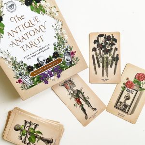 Antique Anatomy Tarot - Ảnh 20