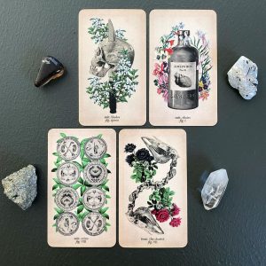 Antique Anatomy Tarot - Ảnh 16