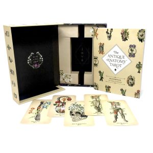 Antique Anatomy Tarot - Ảnh 21