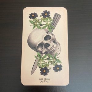 Antique Anatomy Tarot - Ảnh 4