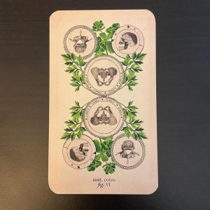 Antique Anatomy Tarot - Ảnh 3