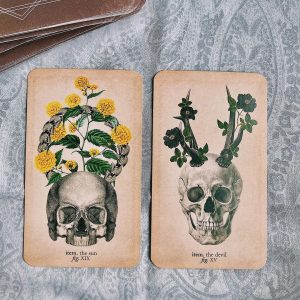 Antique Anatomy Tarot - Ảnh 8