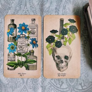 Antique Anatomy Tarot - Ảnh 9