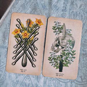 Antique Anatomy Tarot - Ảnh 10