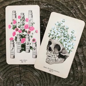 Antique Anatomy Tarot - Ảnh 6