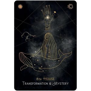 Astro-Cards Oracle - Ảnh 4